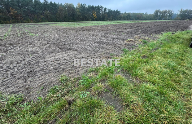 Działka 3 000m2 pod lasem w dobrej cenie.
