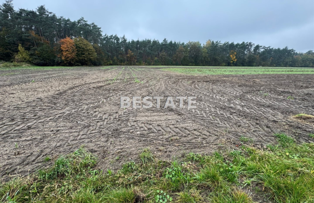 Działka 3 000m2 pod lasem w dobrej cenie.