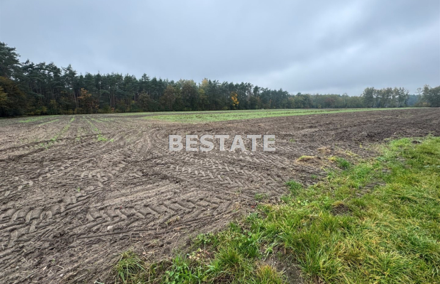 Działka 3 000m2 pod lasem w dobrej cenie.