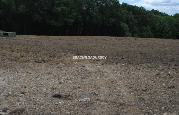 Działka budowlano-rolno-leśna w Jankówce
