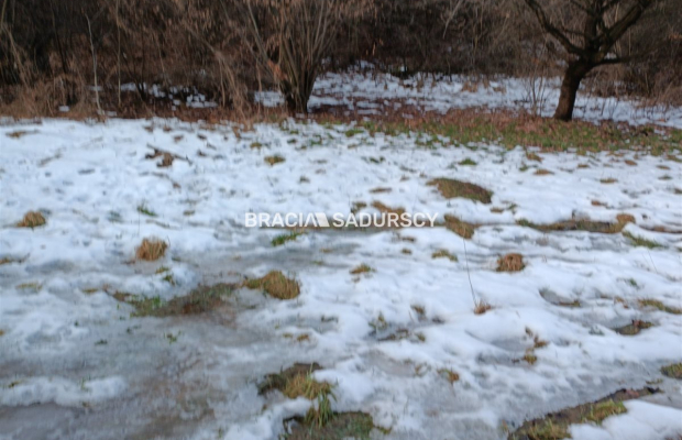 Duża działka inwestycyjna  w Czarnochowicach