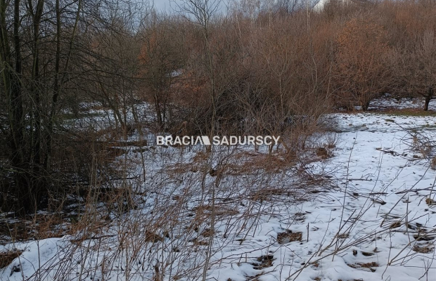 Duża działka inwestycyjna  w Czarnochowicach