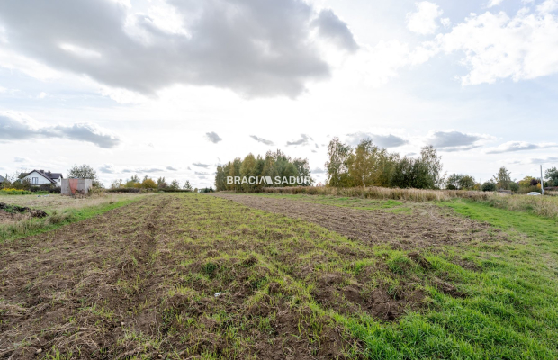 Działka budowlana / 25 ar / płaska / Cholerzyn 
