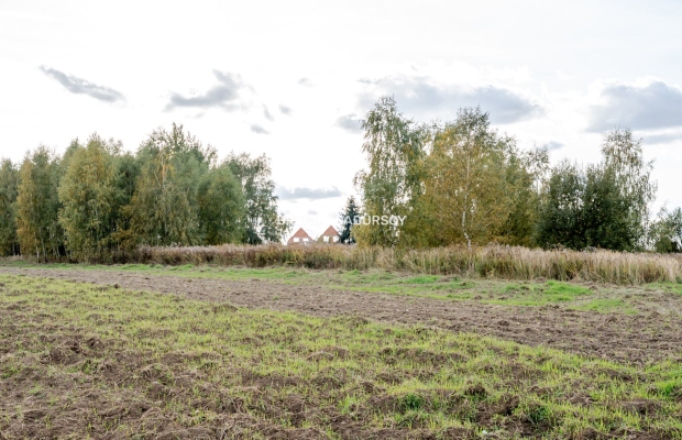 Działka budowlana / 25 ar / płaska / Cholerzyn 
