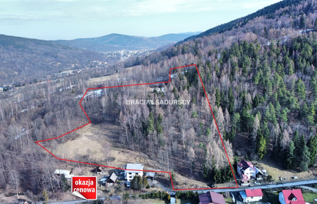 Działka widokowa o pow. 3 ha 