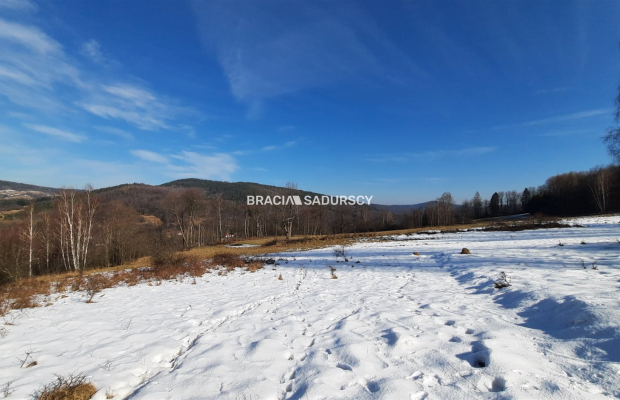 Działka widokowa o pow. 3 ha 