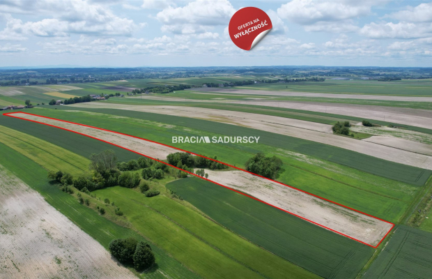 Działka rolna o pow. 3 ha - Prandocin-Iły   
 
Oferujemy na sprzedaż działkę rolną o pow. 3 ha położoną w Prandocinie Iły k/Sło