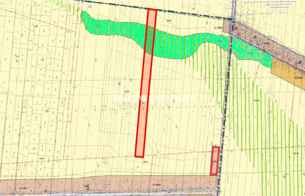 Działka rolna o pow. 3 ha - Prandocin-Iły   
 
Oferujemy na sprzedaż działkę rolną o pow. 3 ha położoną w Prandocinie Iły k/Sło