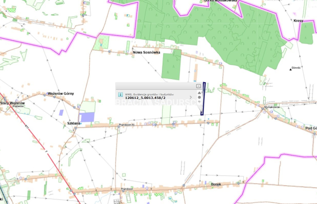 Działka rolna o pow. 3 ha - Prandocin-Iły   
 
Oferujemy na sprzedaż działkę rolną o pow. 3 ha położoną w Prandocinie Iły k/Sło