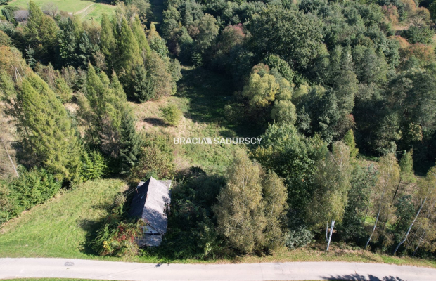 Poręba Żegoty, gmina Alwernia. 