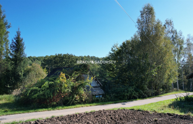 Poręba Żegoty, gmina Alwernia. 