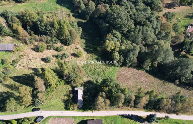 Poręba Żegoty, gmina Alwernia. 