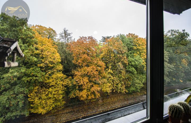 Wyjątkowe mieszkanie z widokiem na park - Świdnica