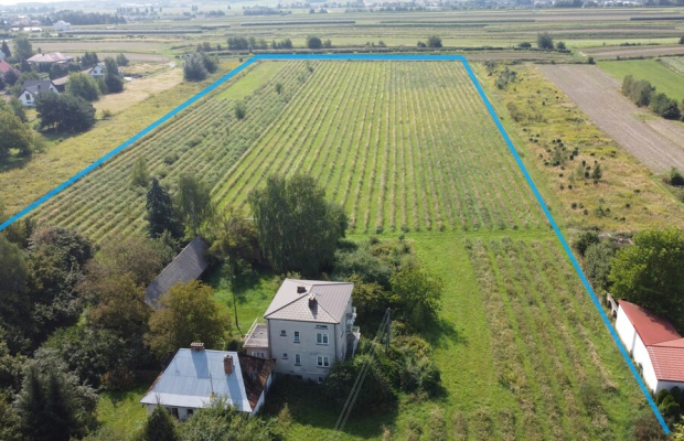 Działka z wykonanym podziałem w Końskowoli