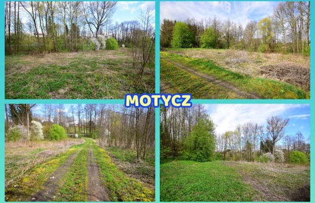 Działka o pow. 3115 m², blisko szkoła, MPK.