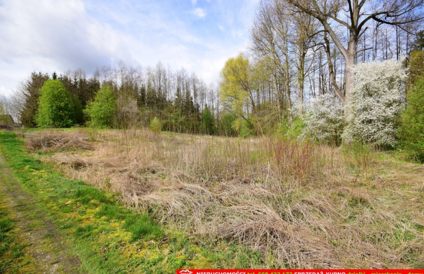 Działka o pow. 3115 m², blisko szkoła, MPK.