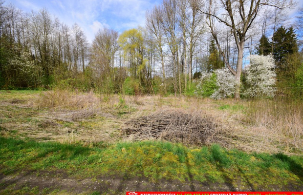 Działka o pow. 3115 m², blisko szkoła, MPK.
