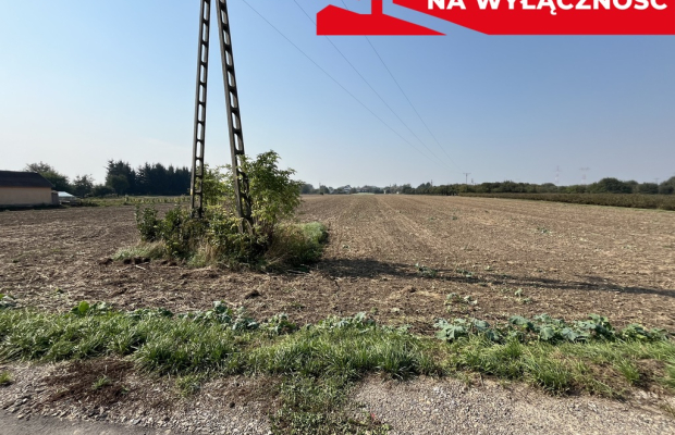 Działka rolno-budowlana 0,31 ha w Gołębiu k/Puław.