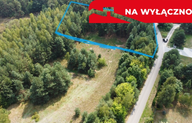 Działka budowla 3117 m2 w Kowali gm. Puławy.
