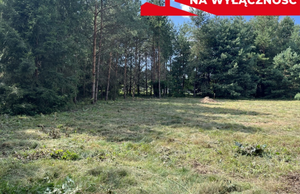 Działka budowla 3117 m2 w Kowali gm. Puławy.