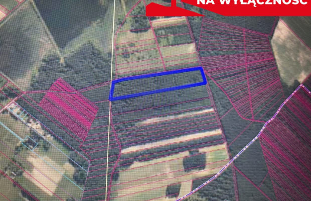 Działka leśna 3,90 ha w Brodach  gm. Pierzchnica.