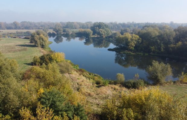 Domek na działce w Solcu n/Wisłą pow. lipski.