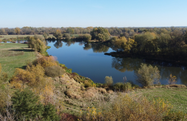 Domek na działce w Solcu n/Wisłą pow. lipski.