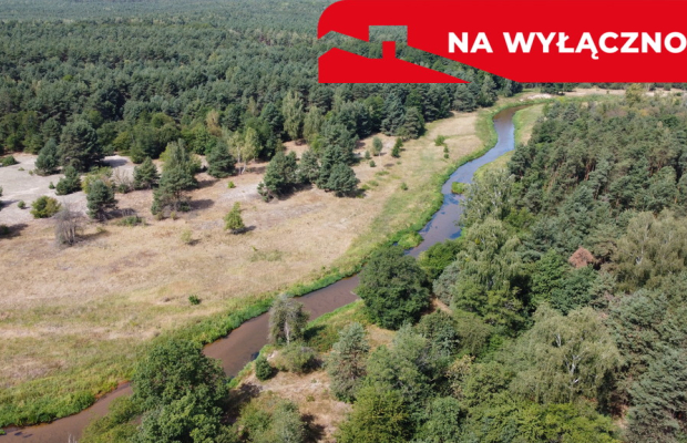 Działka letniskowa 800 m2 w Woli Chodkowskiej.
