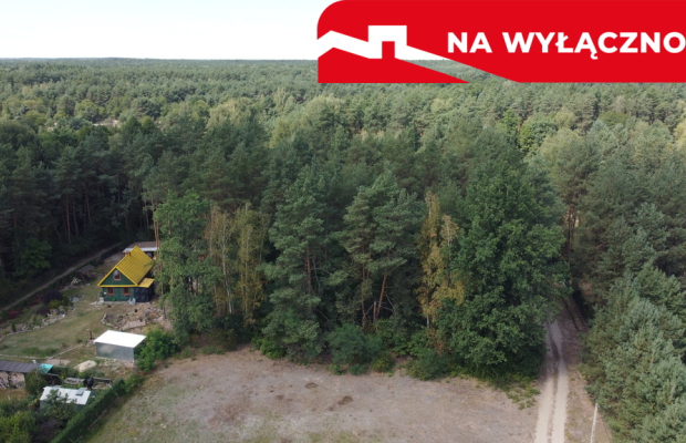 Działka letniskowa 800 m2 w Woli Chodkowskiej.