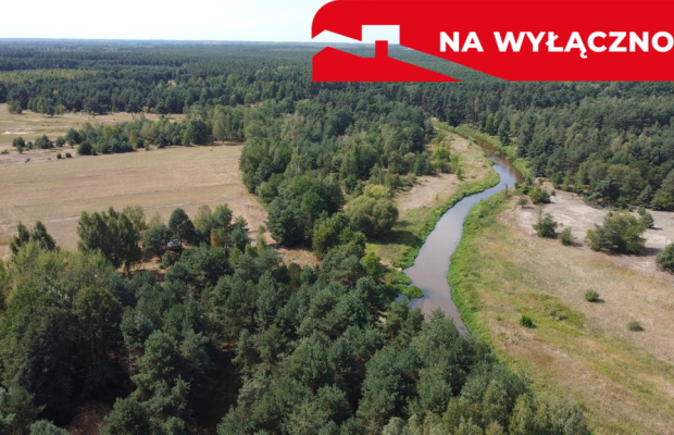 Działka letniskowa 800 m2 w Woli Chodkowskiej.