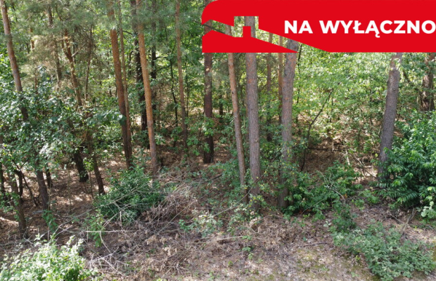 Działka letniskowa 800 m2 w Woli Chodkowskiej.