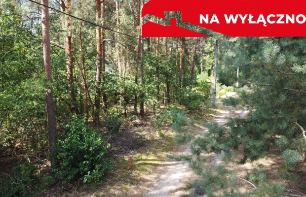 Działka letniskowa 800 m2 w Woli Chodkowskiej.