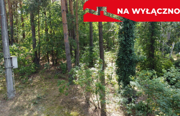 Działka letniskowa 800 m2 w Woli Chodkowskiej.