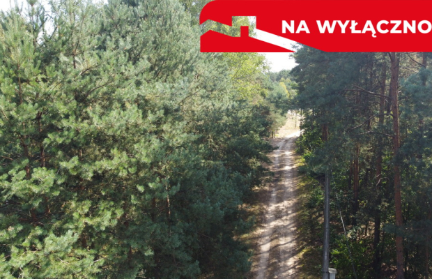 Działka letniskowa 800 m2 w Woli Chodkowskiej.