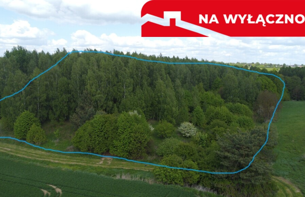 Działka 2,15 ha z potencjałem koło Nałęczowa.