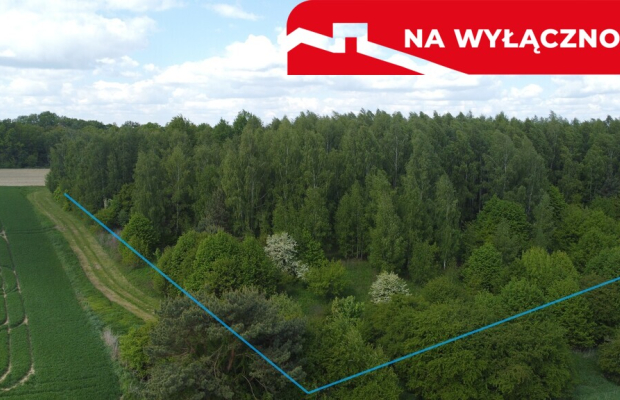 Działka 2,15 ha z potencjałem koło Nałęczowa.
