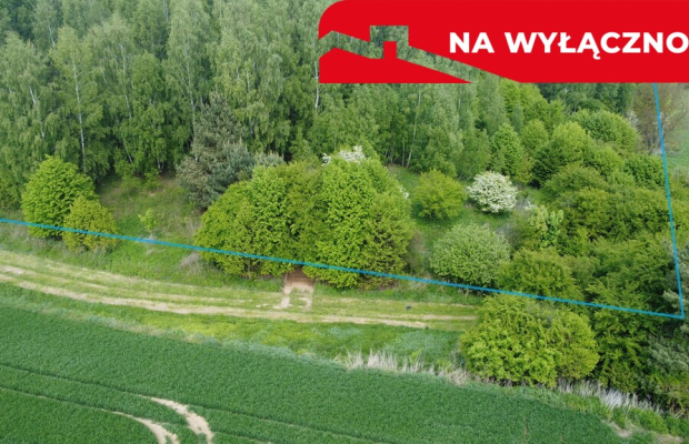 Działka 2,15 ha z potencjałem koło Nałęczowa.