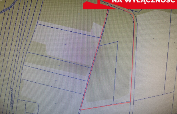 Działka 2,15 ha z potencjałem koło Nałęczowa.