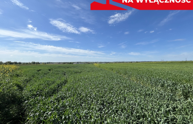 Działka 0,82ha U/MN Wólka gm. Długie pod Lublinem.