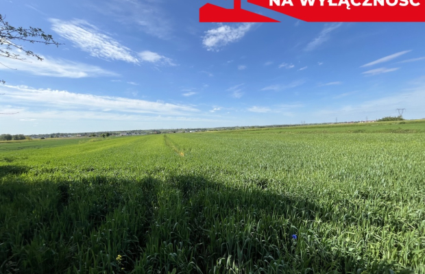 Działka 0,82ha U/MN Wólka gm. Długie pod Lublinem.