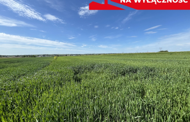 Działka 0,82ha U/MN Wólka gm. Długie pod Lublinem.