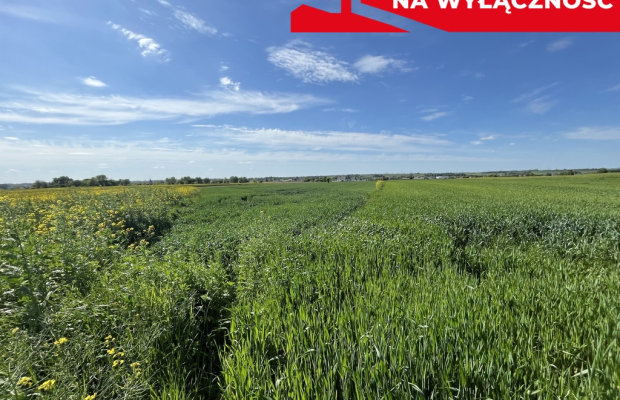 Działka 0,82ha U/MN Wólka gm. Długie pod Lublinem.