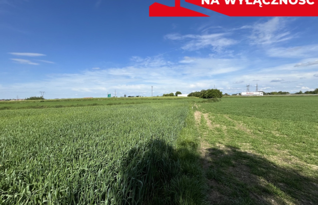 Działka 0,82ha U/MN Wólka gm. Długie pod Lublinem.