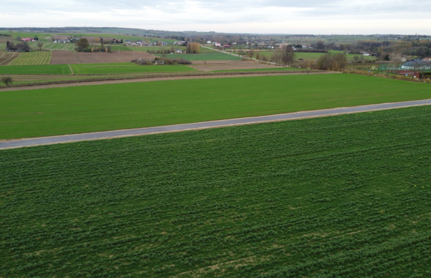 Działka, Zalesie, Wilkołaz, 11 ar, budowlana