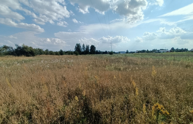 Dwie działki budowlane w Nowodworze gm.  Lubatów.