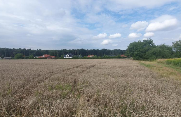 Piękna działka budowlana blisko lasu- 17ar-Świdnik
