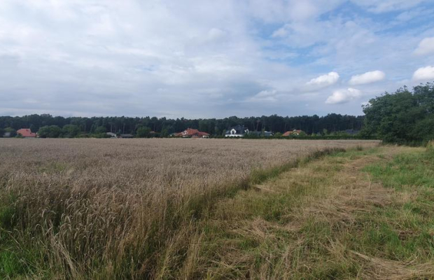 Piękna działka budowlana blisko lasu- 17ar-Świdnik