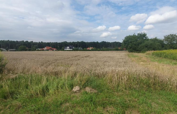 Piękna działka budowlana blisko lasu- 17ar-Świdnik