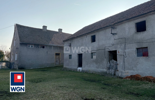Trzebnice, gmina Chocianów, dom do remontu, 279 m2, działka z zabudowaniami gospodarczymi, 1 255 m2, sprzedam, cena 249 900 zł.