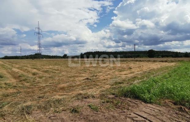 Jędrzychów, działka budowlano usługowa, 51 ar, sprzedaż, 510 000 zł.  
  
Na sprzedaż grunt w miejscowości Jędrzychów w powieci